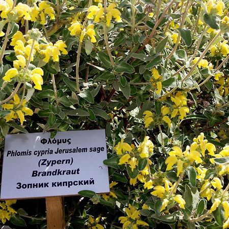 Polis Herb Garden Bagian luar foto